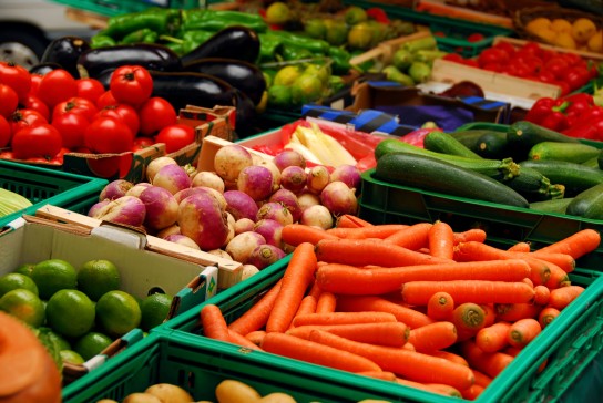 vegetarian catering idea
